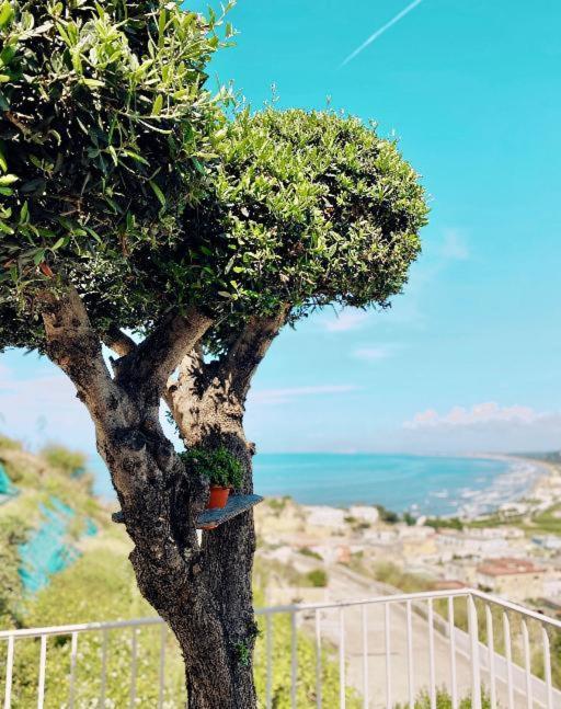 Lavinum Villa Monte di Procida Ngoại thất bức ảnh